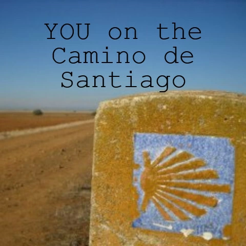 Trail marker on Camino